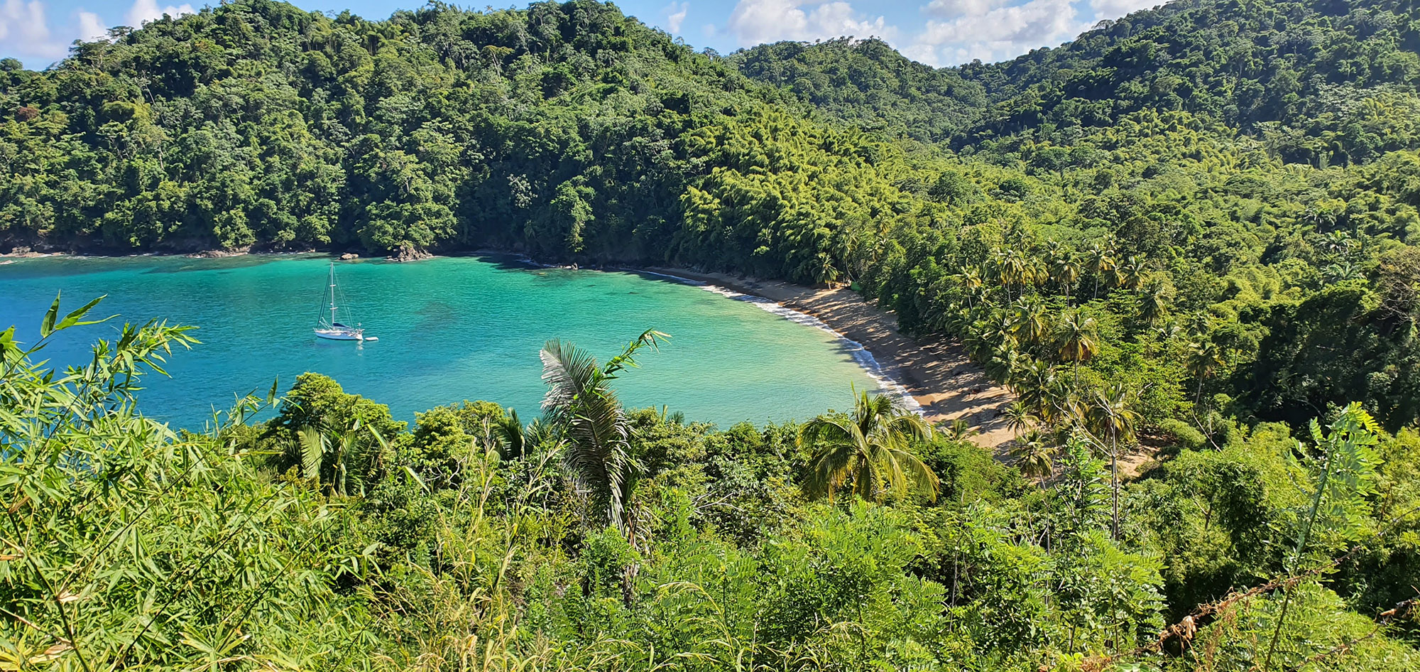Aerial view of a small tropical beach surrounded by dense rainforest 