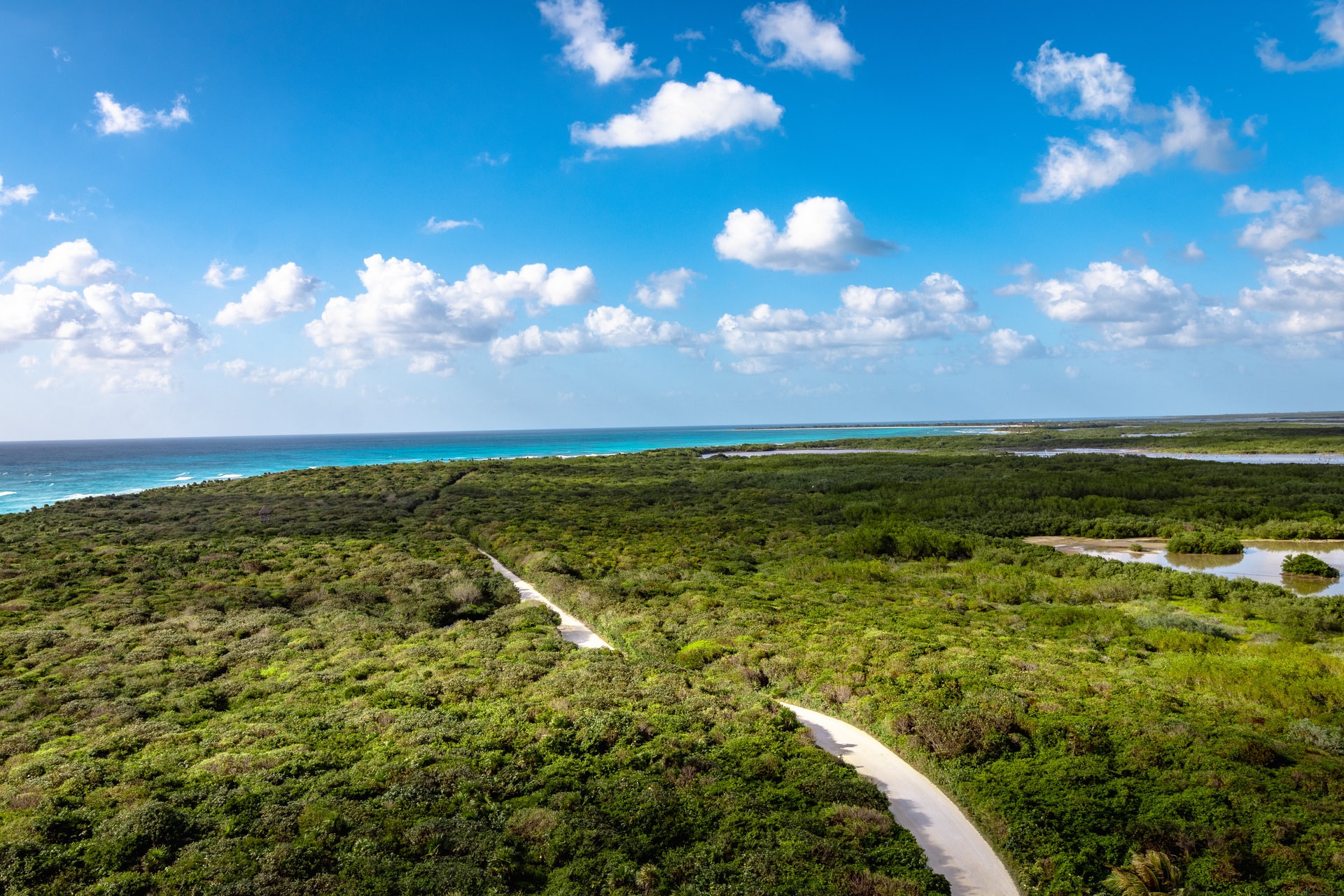 Aerial view of a white road through a forest leading towards the coast in the background