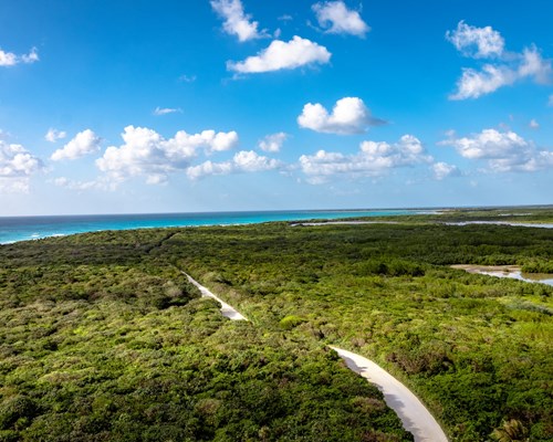 Aerial view of a white road through a forest leading towards the coast in the background