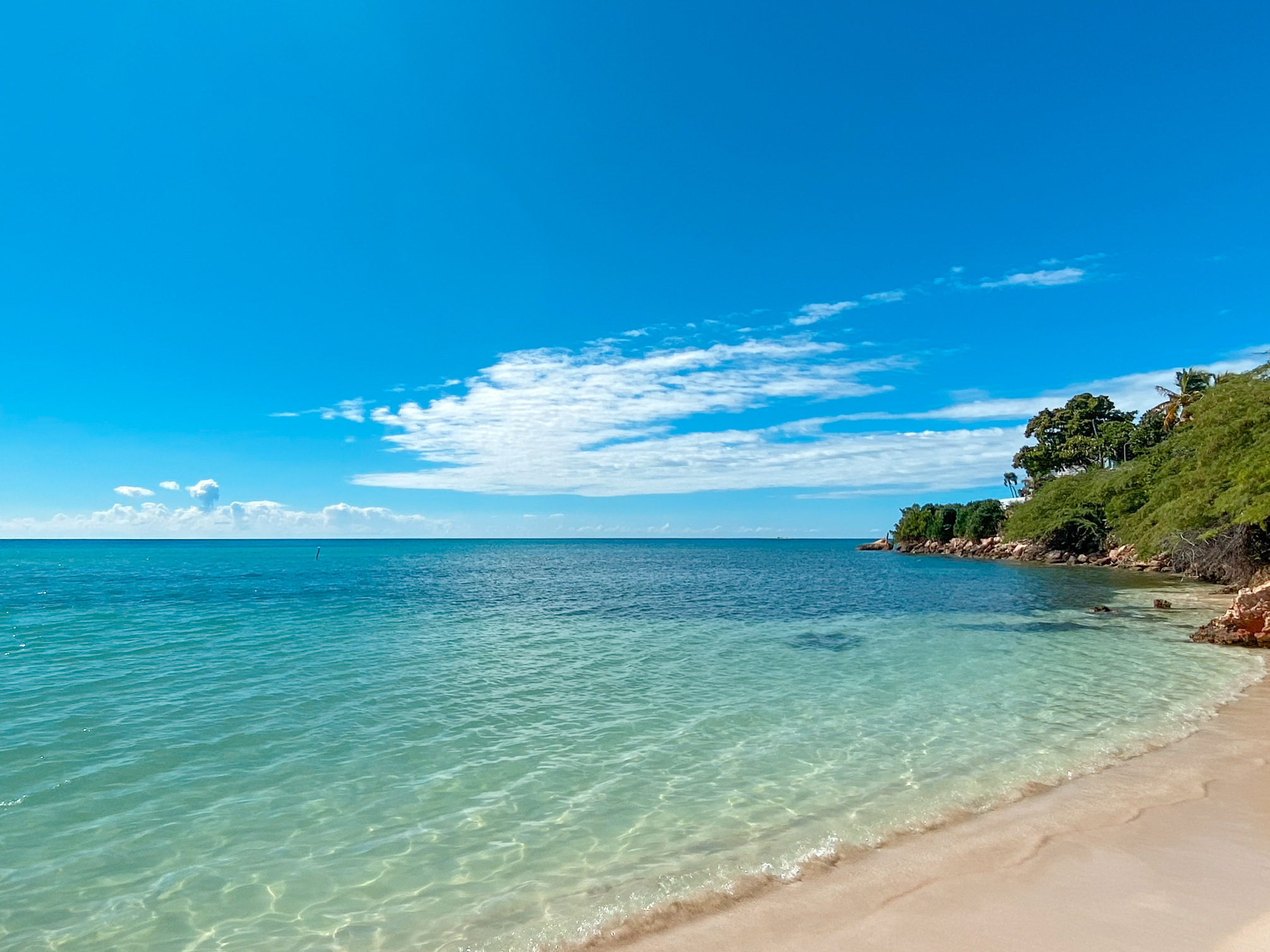 Crystal clear sea with bluey sky and beige sands with peaceful palm trees on the right