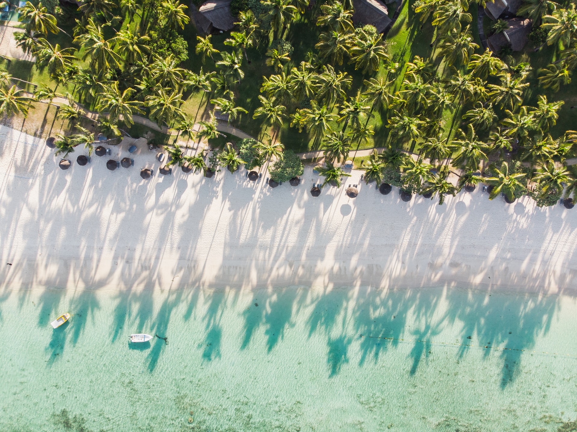 Aerial view of small blue boat docked by a white sand tropical beach