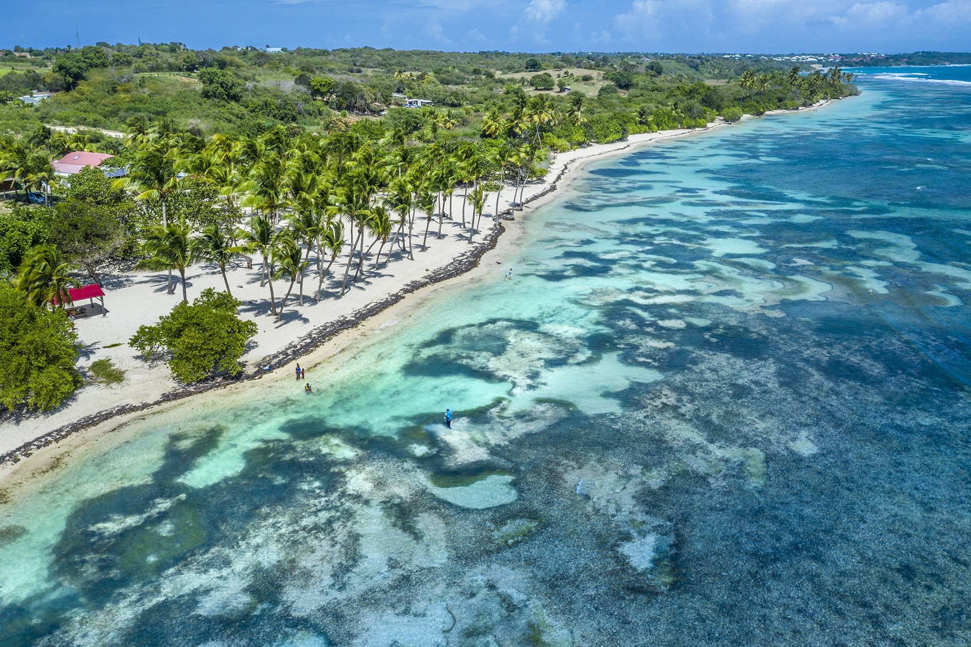 Narrow white sand tropical beach with sea so clear that you can see the reefs close to the shore
