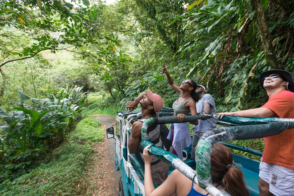 Group of people on a tour of Grand Etang National Park Forest