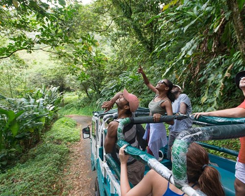 Group of people on a tour of Grand Etang National Park Forest