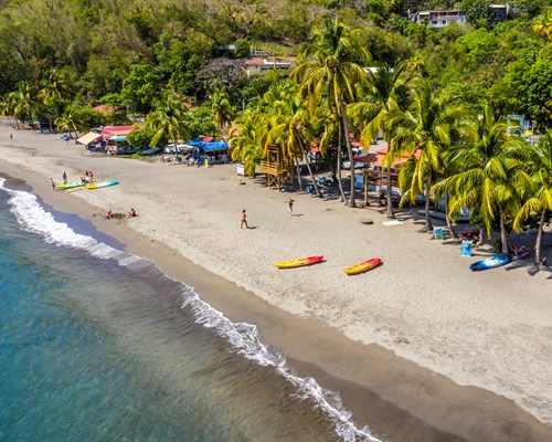 Watersport equipment and people on a white sand beach backed by tall palm trees and forest