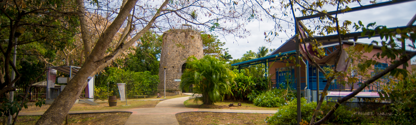Stone tower and buildings surrounded by trees