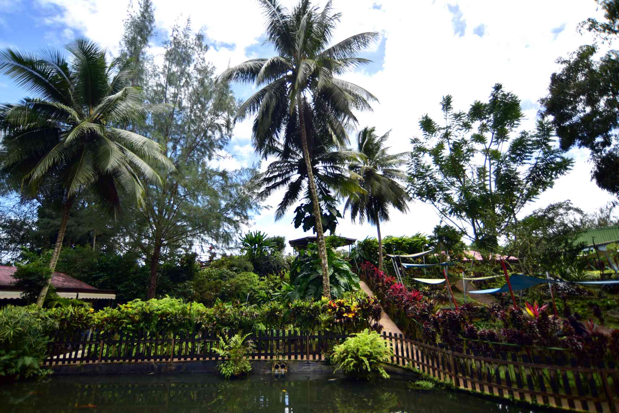 Tall palms trees, colourful tropical flowers and a pond