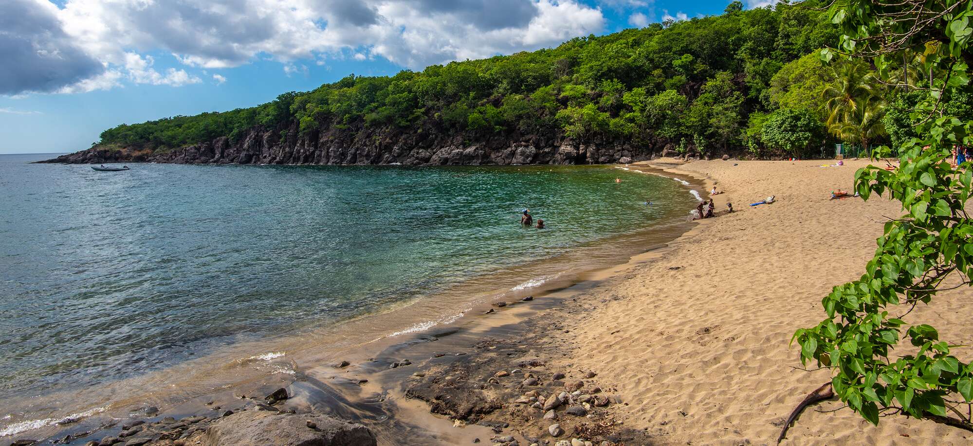 Several people in a green sea next to a golden sand beach