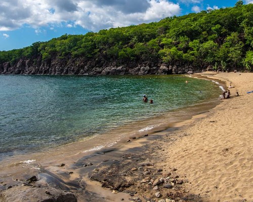 Several people in a green sea next to a golden sand beach
