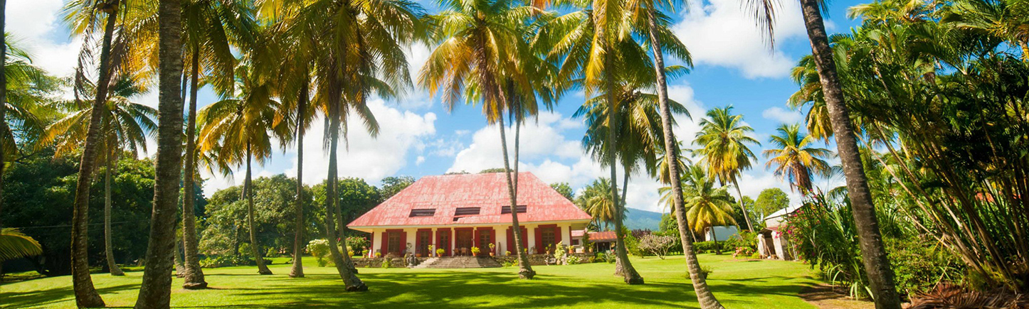 Large house with orange roof surrounded by a garden of tall palm trees