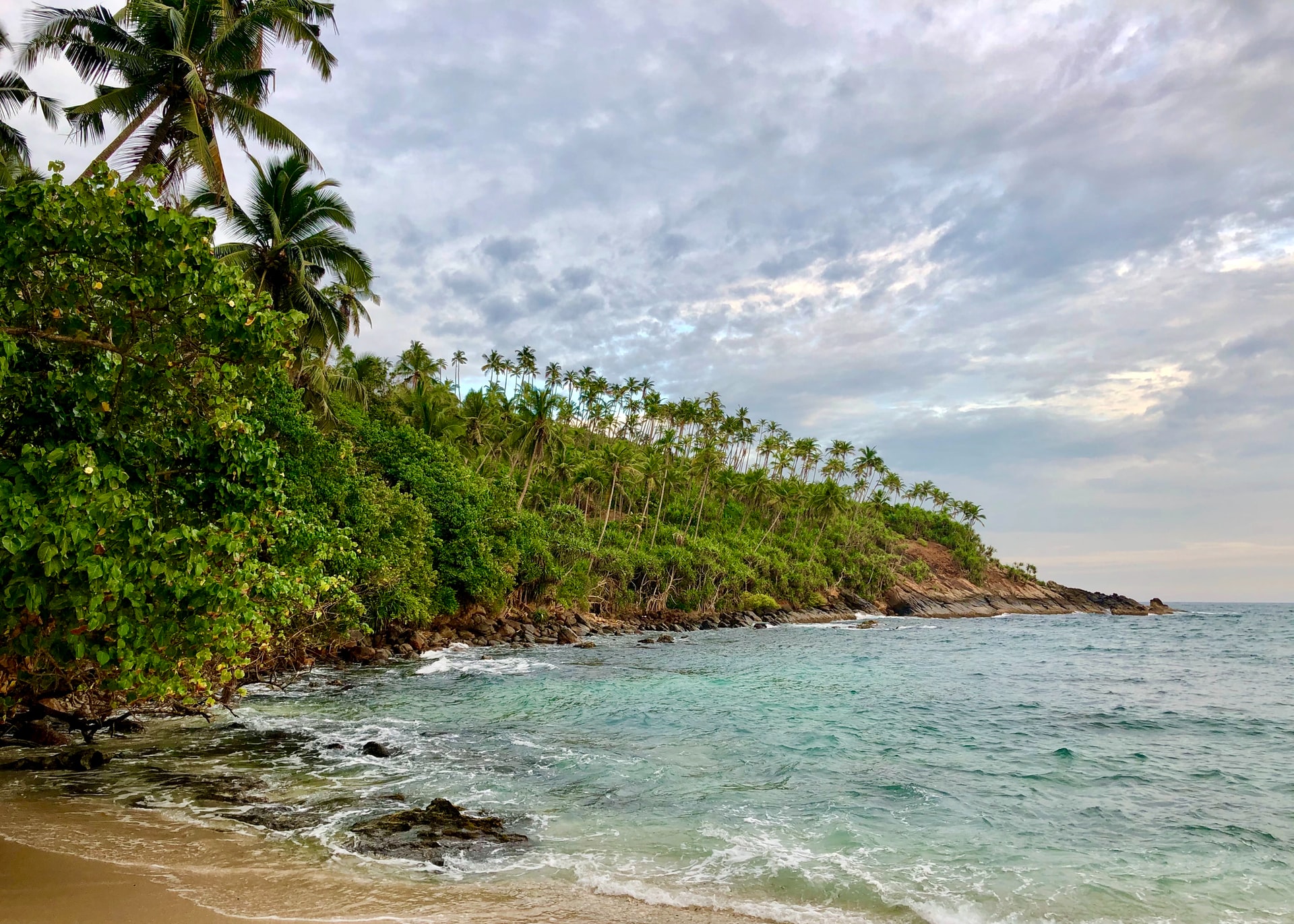 Green Tropical Trees Edging The Coast Of Beige Coloured Beach