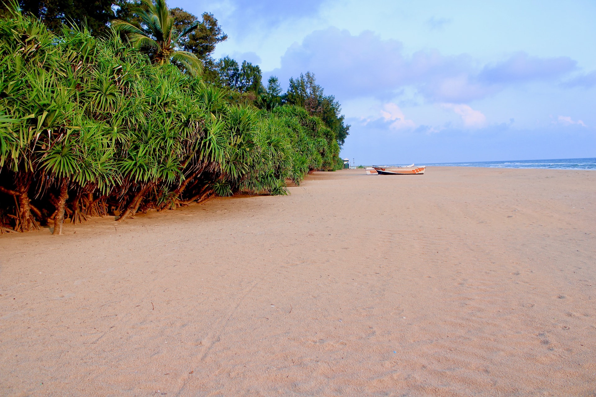 Single Boat Placed On A Tree Lined Wide Beige Beach