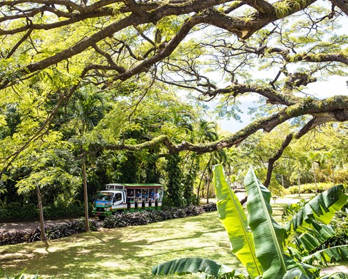 A truck driving through lush tropical gardens on a sunny day