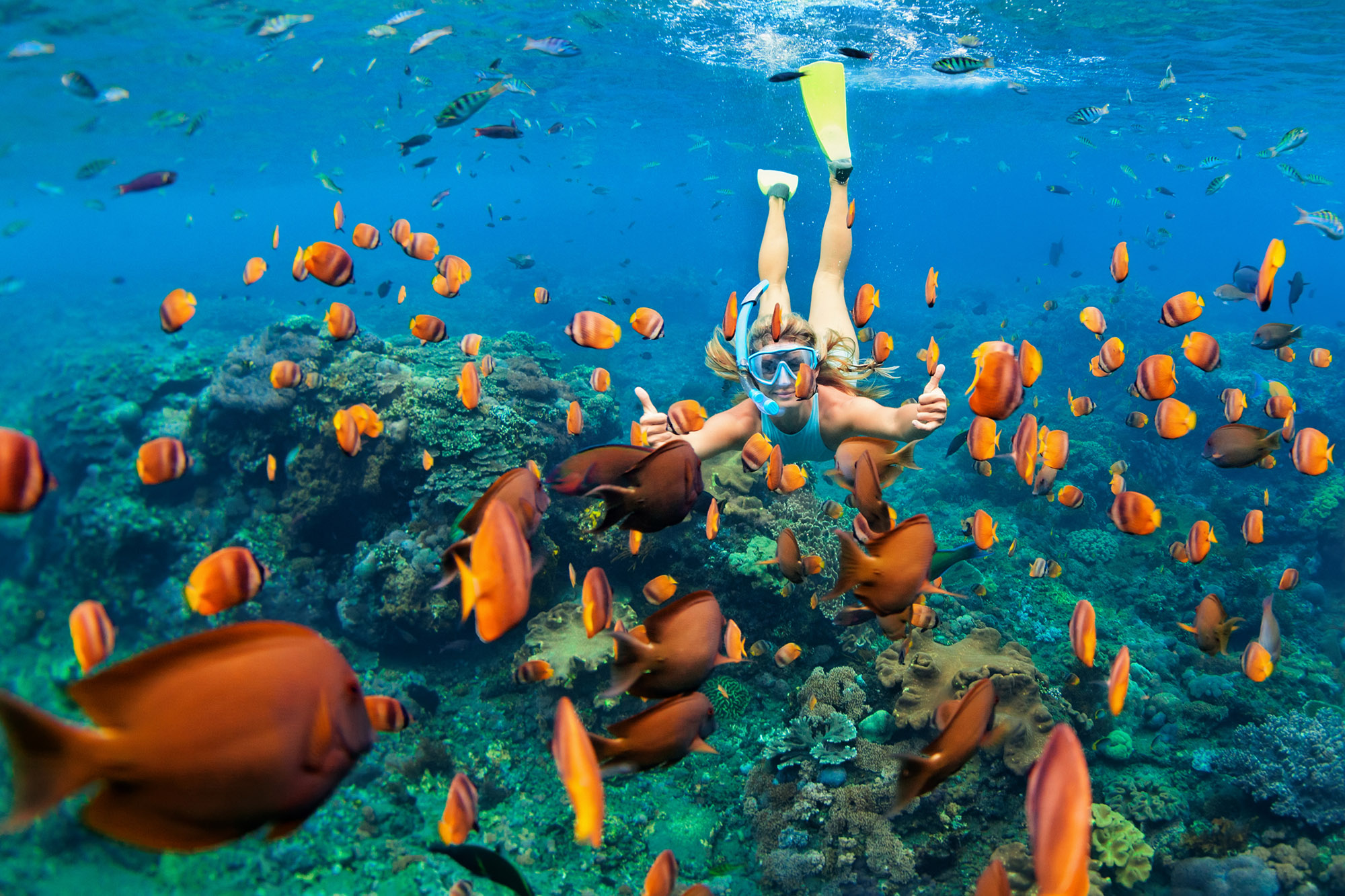 Girl in snorkel mask underwater surrounded by tropical fish above a coral reef 