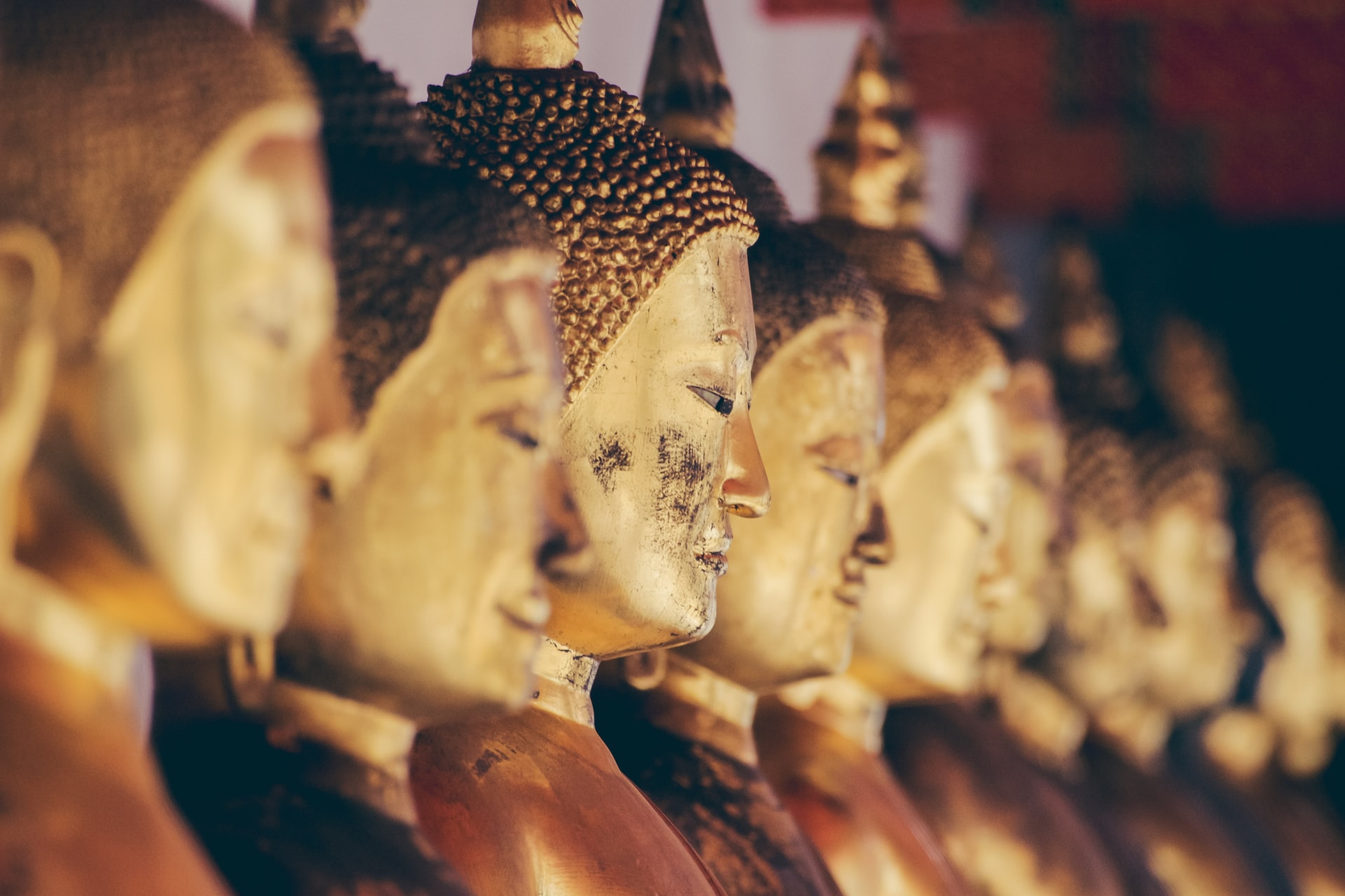 Close Up Of Gold Buddha Statues