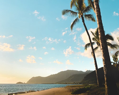 Photo credit: Unsplash