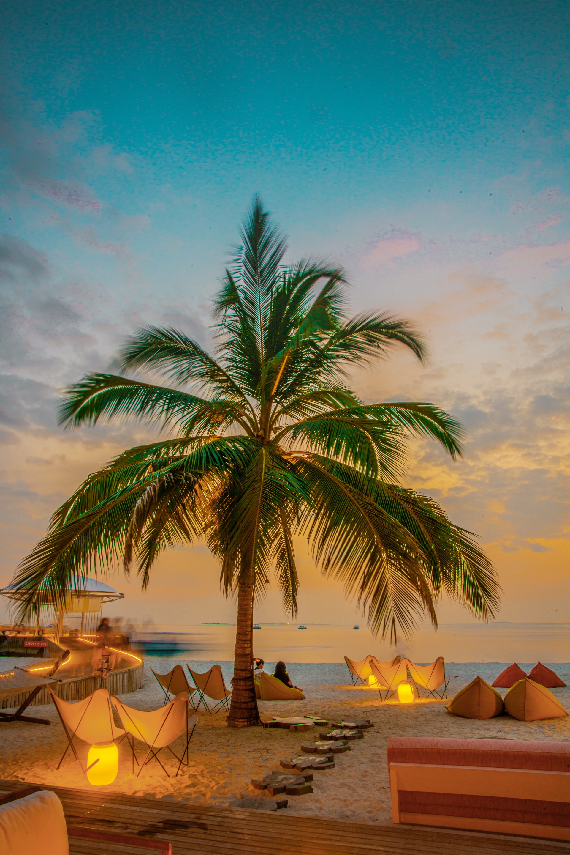 Chairs and cushions laid out next to a palm tree on a tropical beach to watch the sunset over the sea