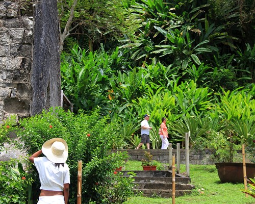 People looking around the Belmont Estate Garden