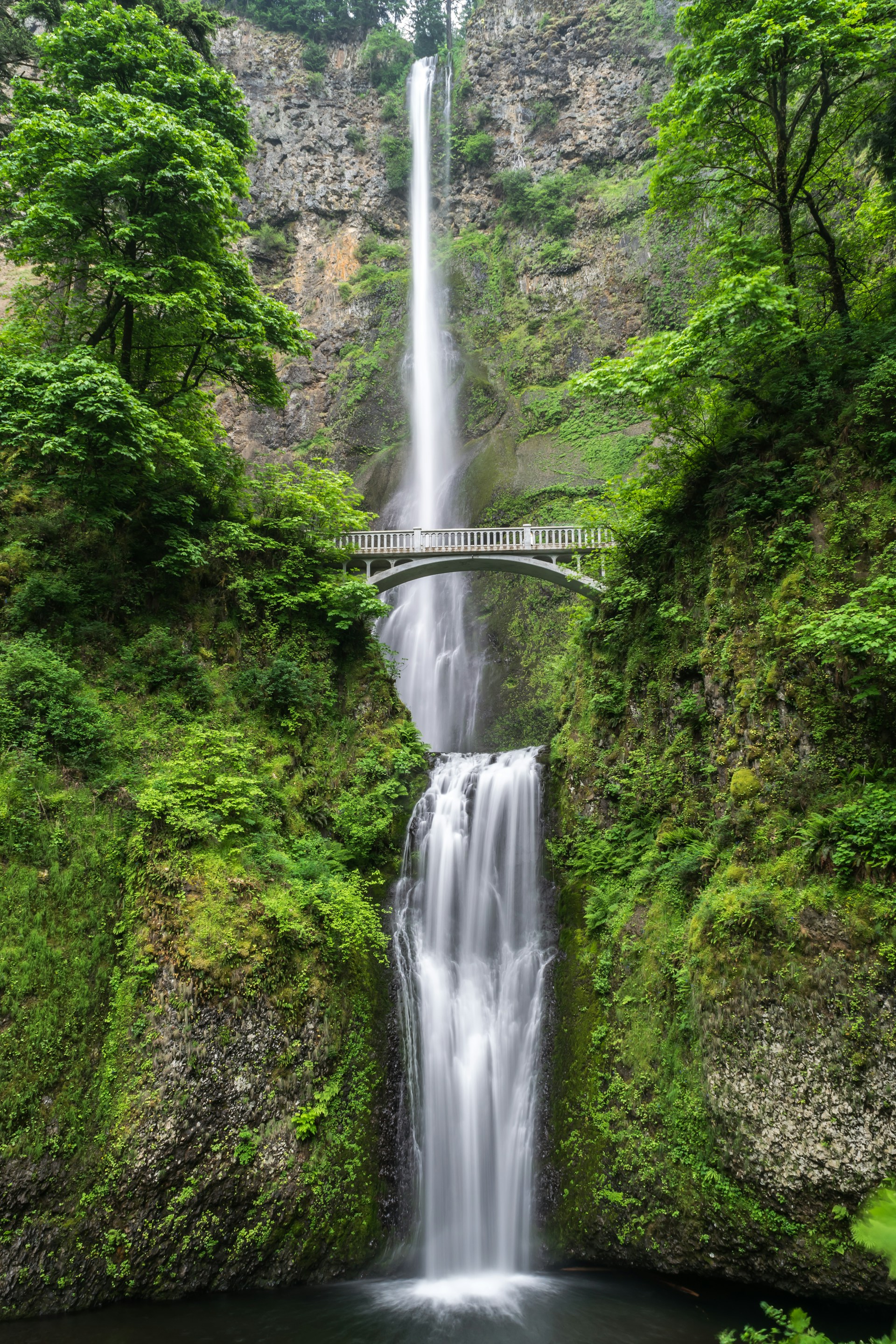 Cascading waterfall with a bridge surrounded by lush greenery