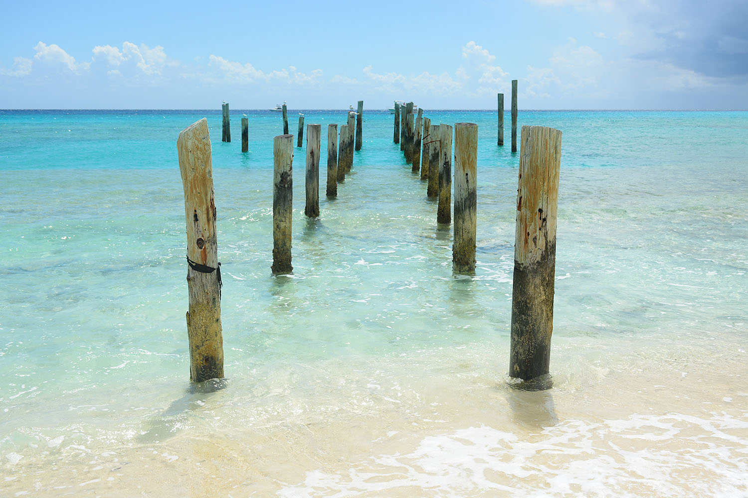 Wooden poles in the sea at Clifton Heritage National Park