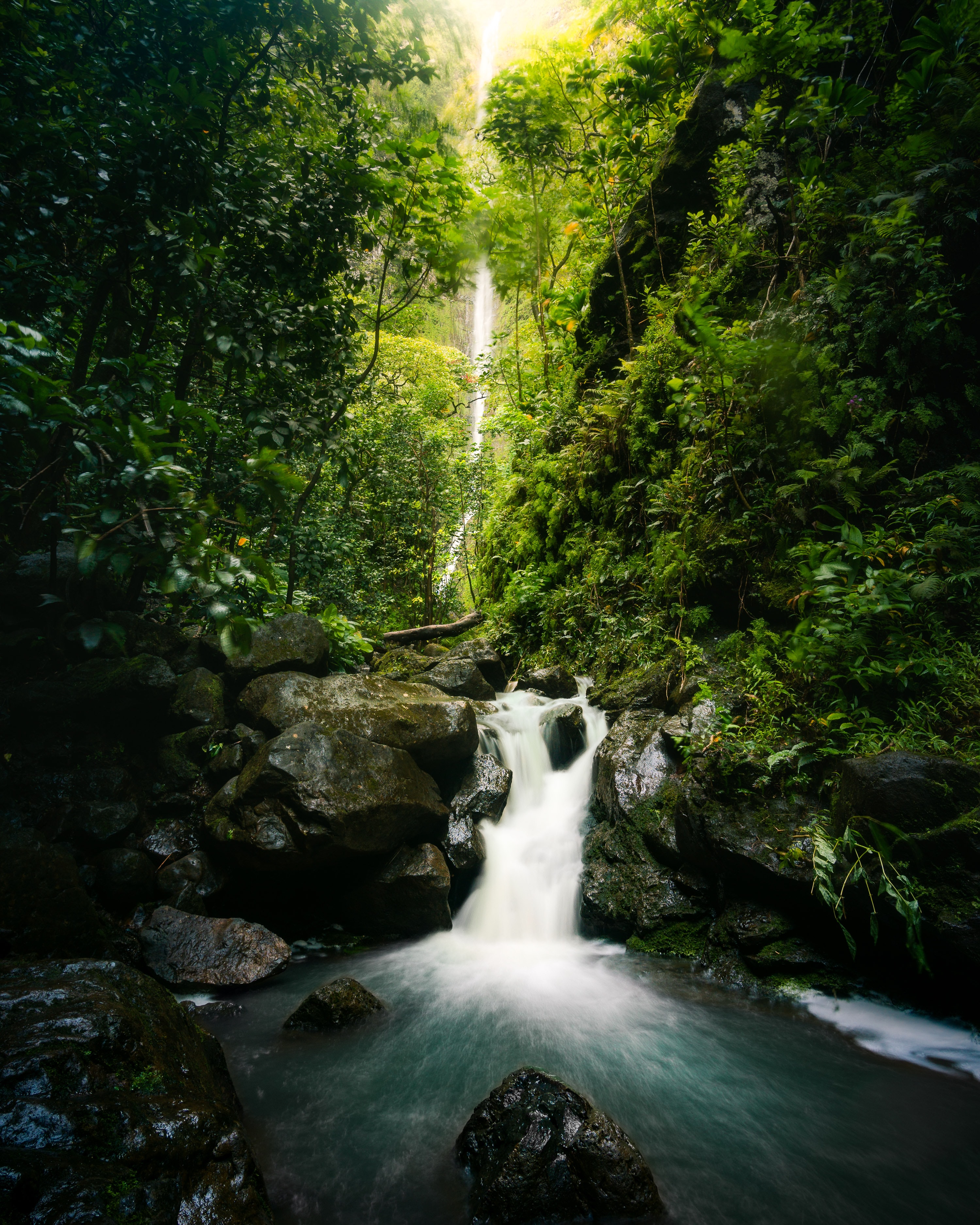 Crystal waterfall surrounded by greenery