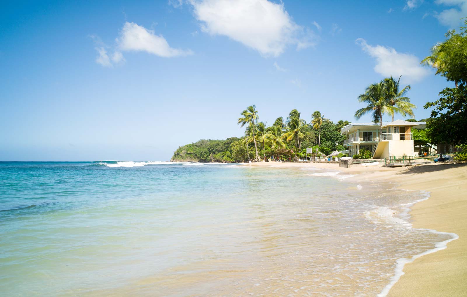 A tropical beach with golden sand and bright blue sea