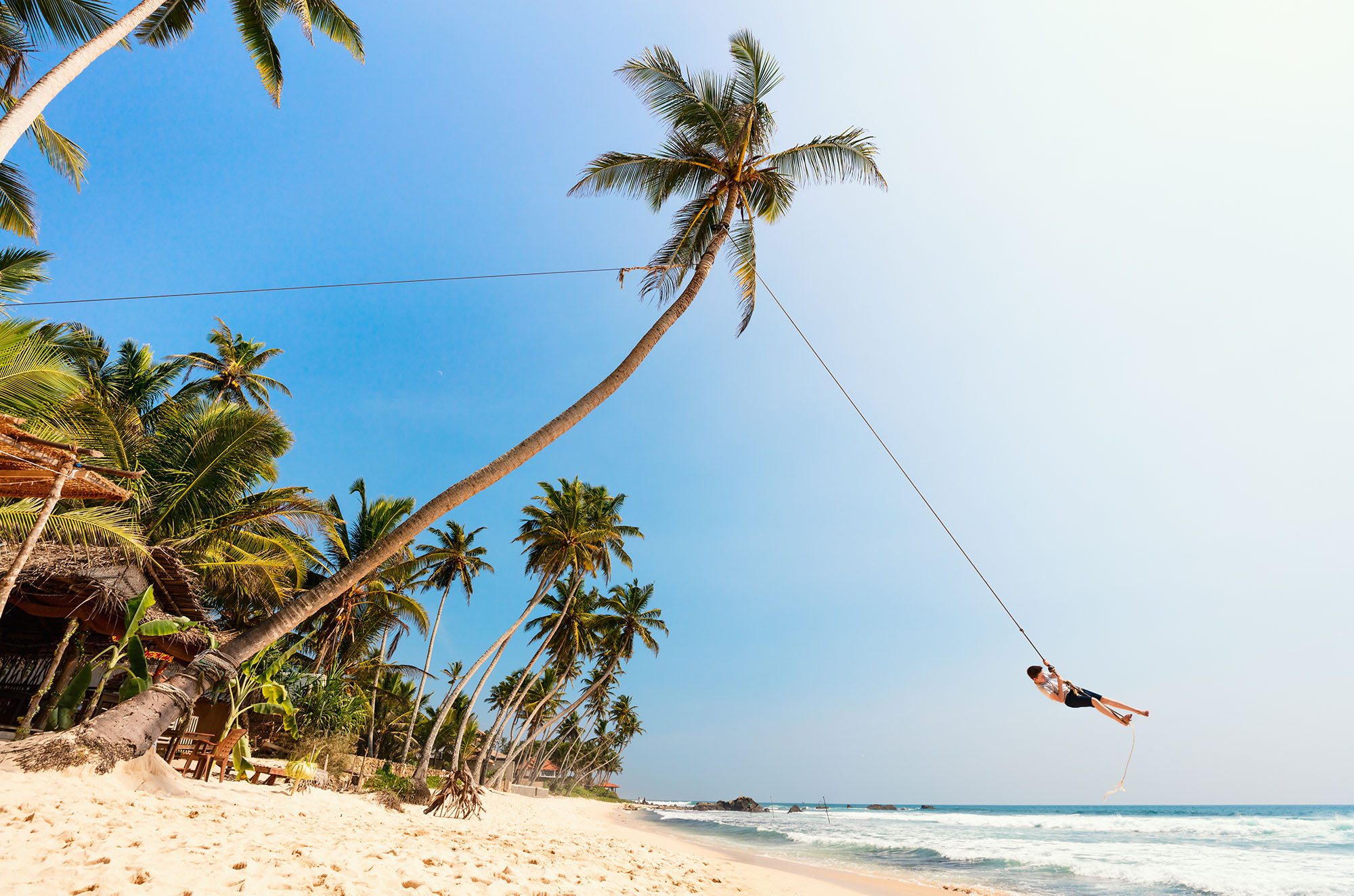 Man swinging from a palm on Dalawella Beach