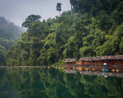 Scenic views of tropical landscapes