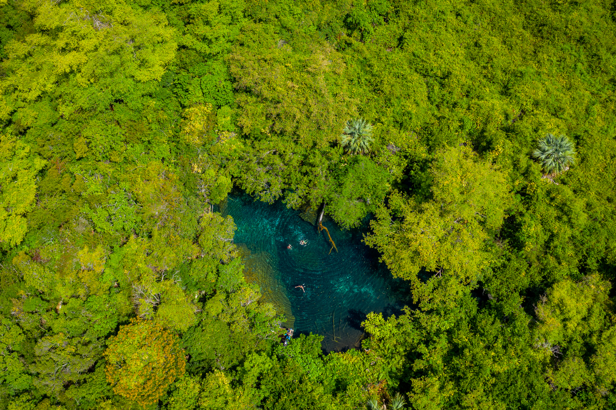 Aerial of Punta Cana Ecological Park Lagoon