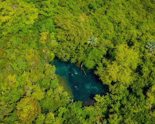 Aerial of lagoon in Punta Cana Ecological Park