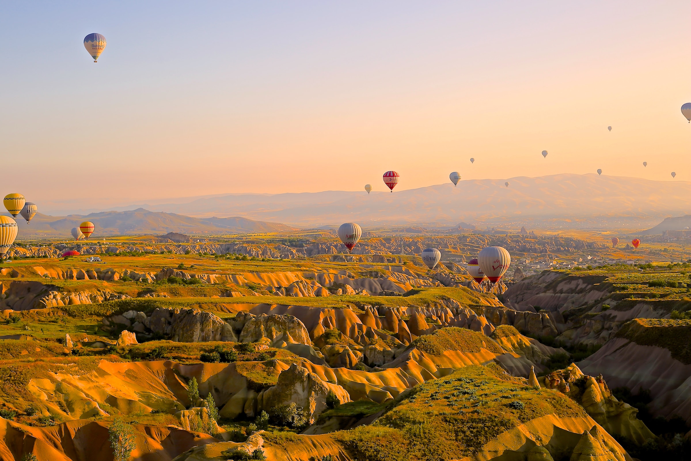 hot air balloons rising over sunflower valley in Turkey