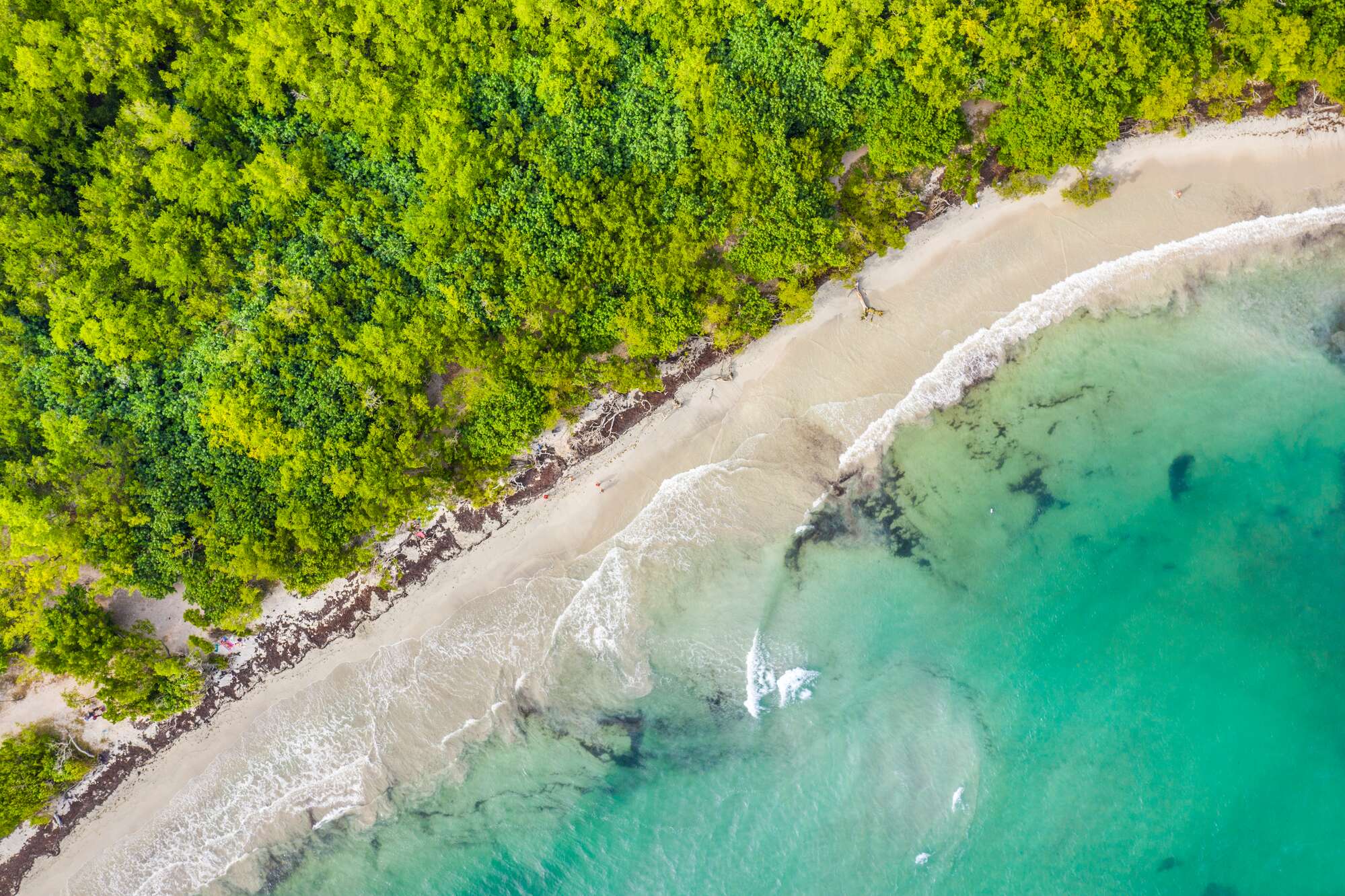 Aerial view of an empty, wild white sand beach backed by thick forest