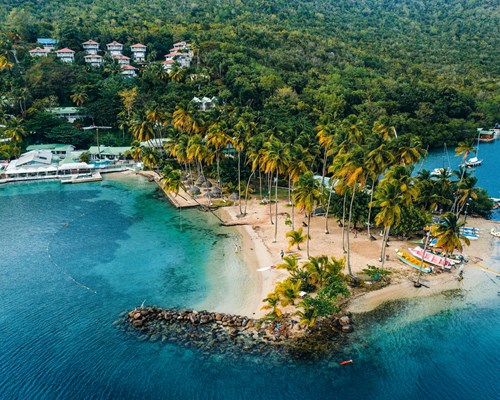 Small tropical beach with tall palm trees