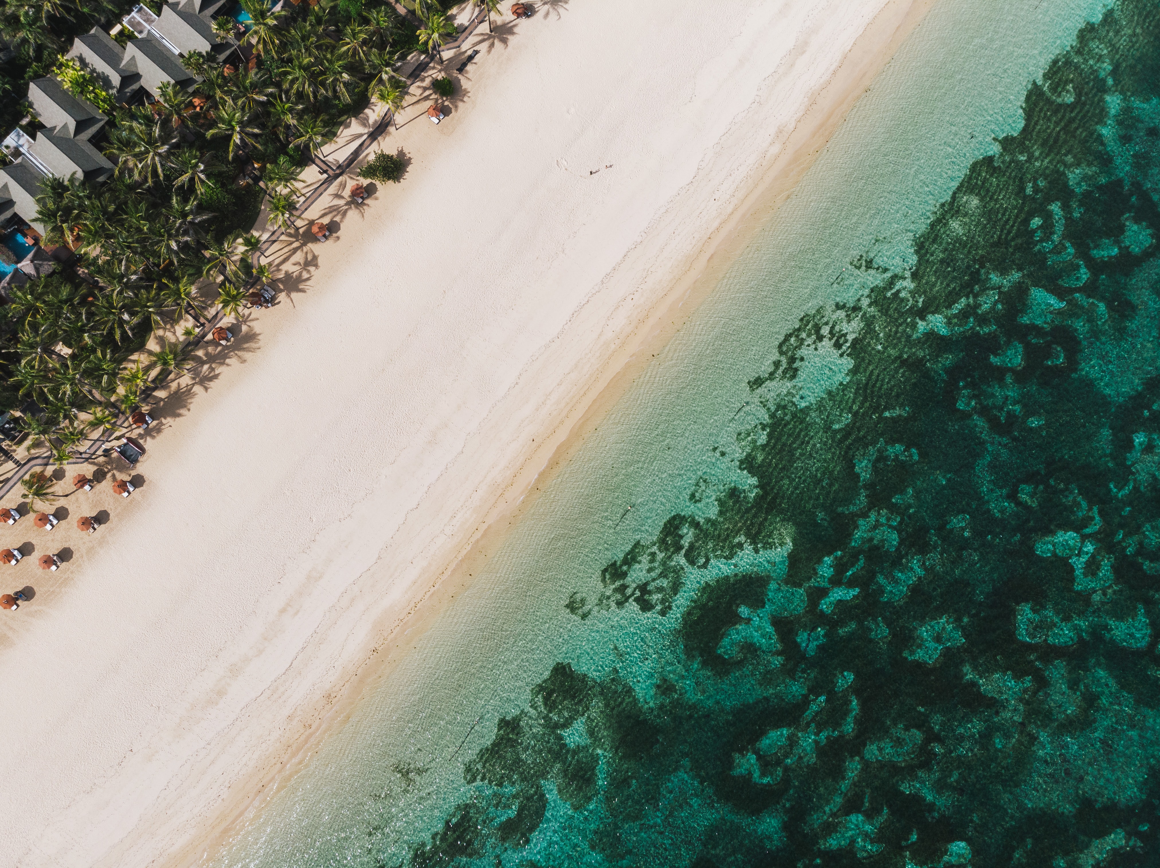 Birds eye view of a long stretch of sand and coral waters