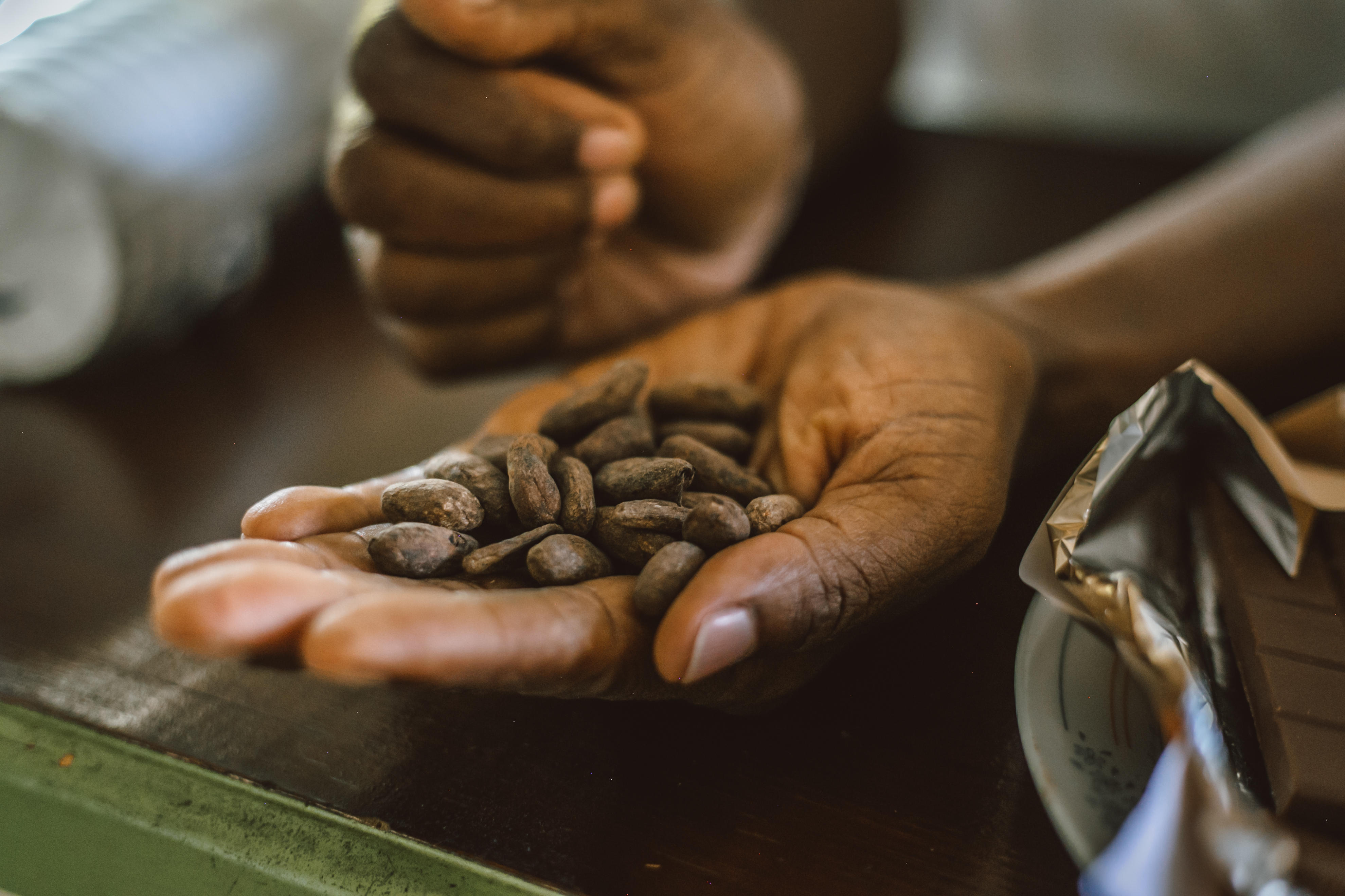 Man holding cocoa beans in Tobago