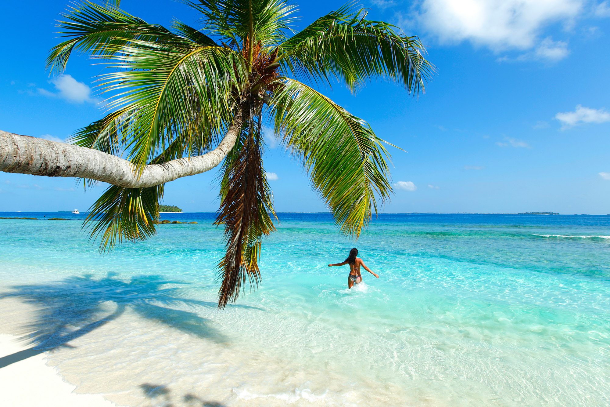 woman with arms out splashing in turquoise sea beyond beach and palm tree