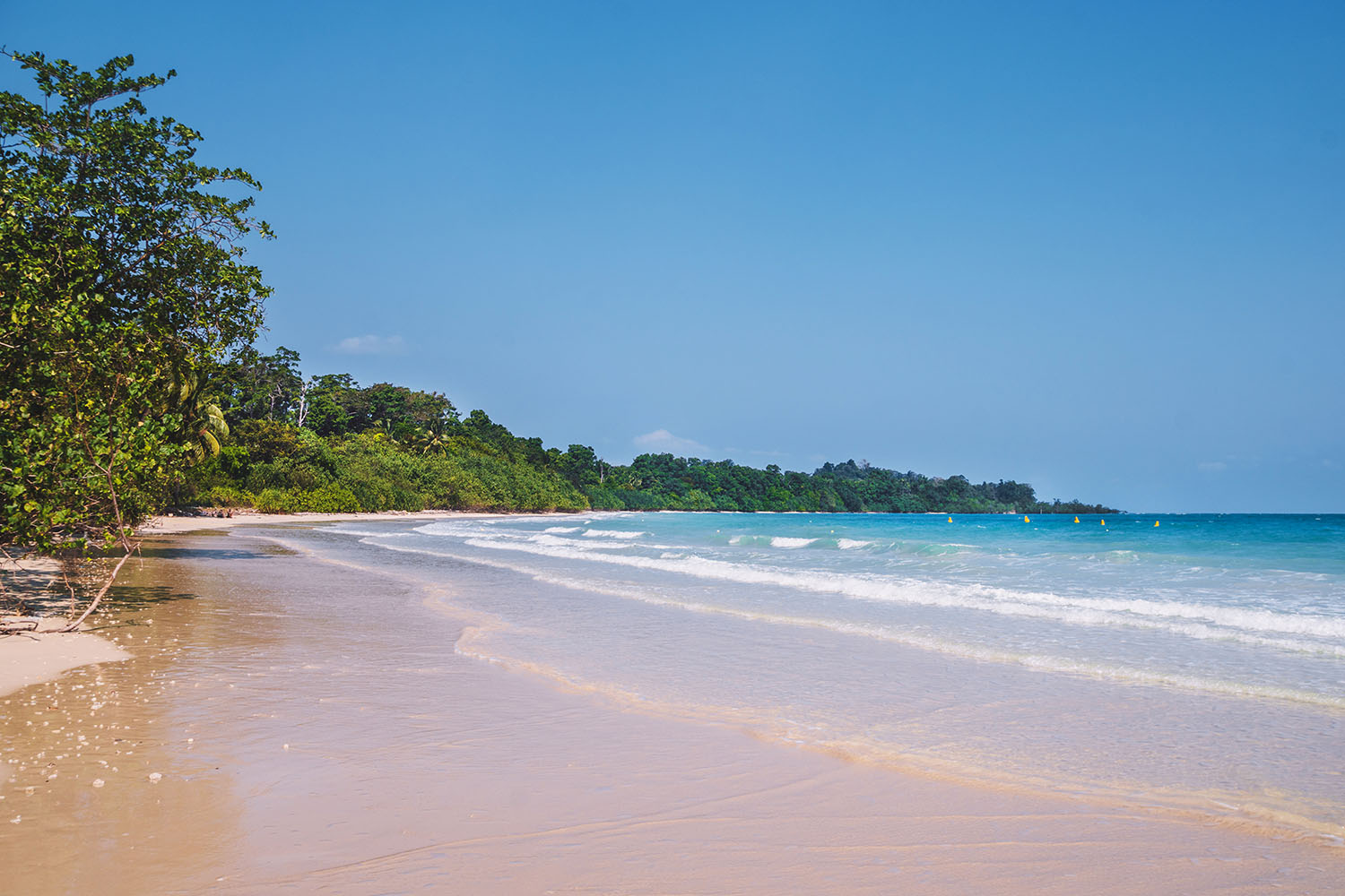 Small waves crashing on a pink sand tropical beach