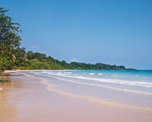 Small waves crashing on a pink sand tropical beach