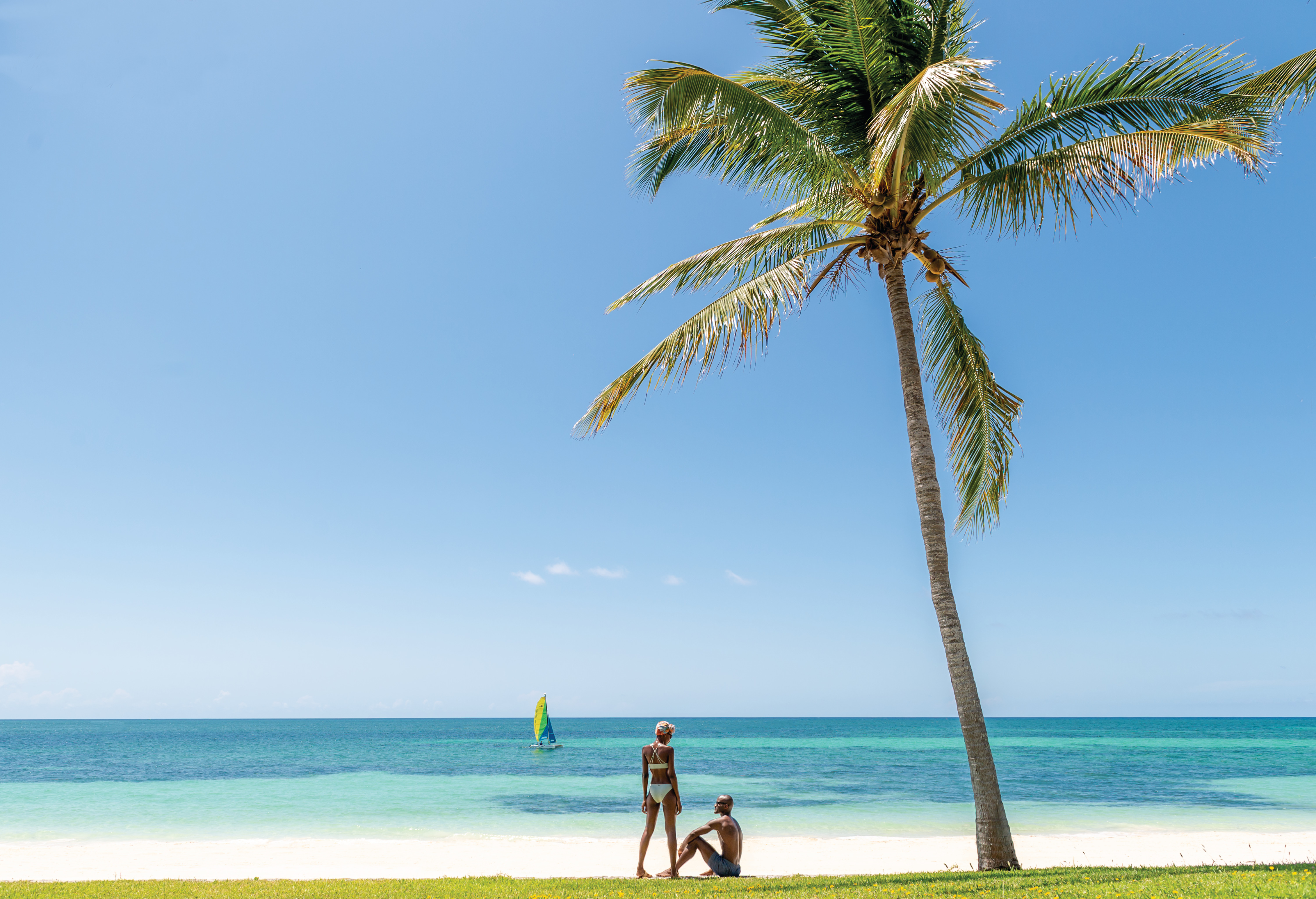 Couple on a tropical beach next to tall palm tree 