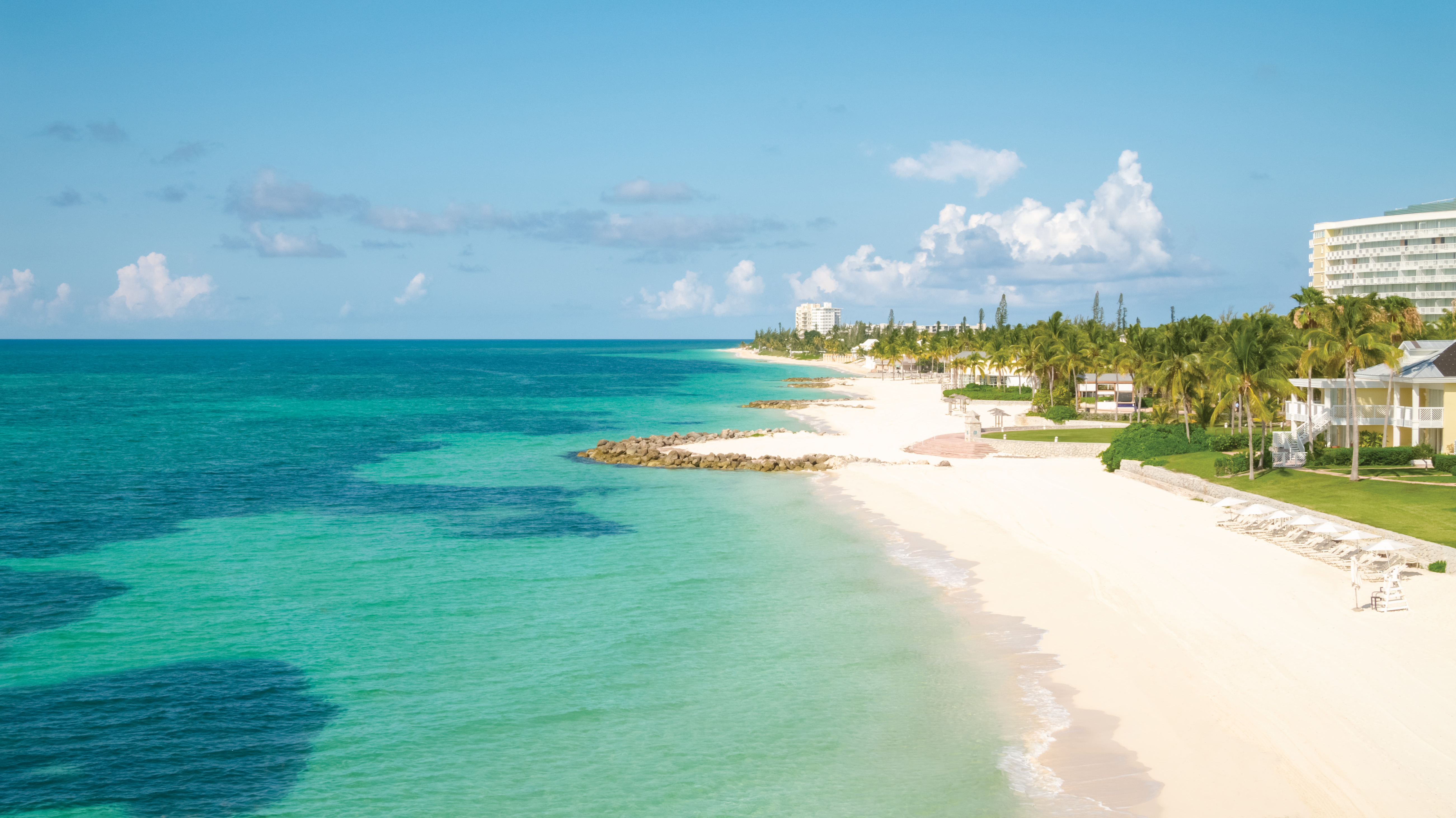 Stretch of white sand lined with palm trees and hotels 