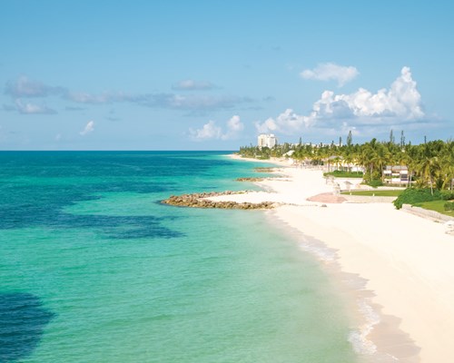 Stretch of white sand lined with palm trees and hotels