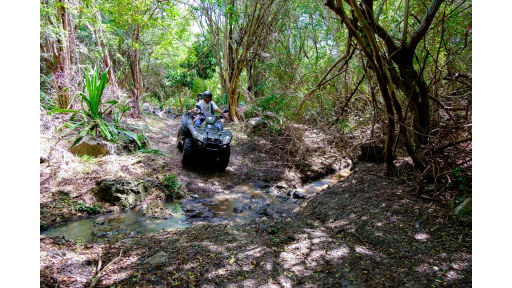 Two people quad-biking down a path in dense forest 