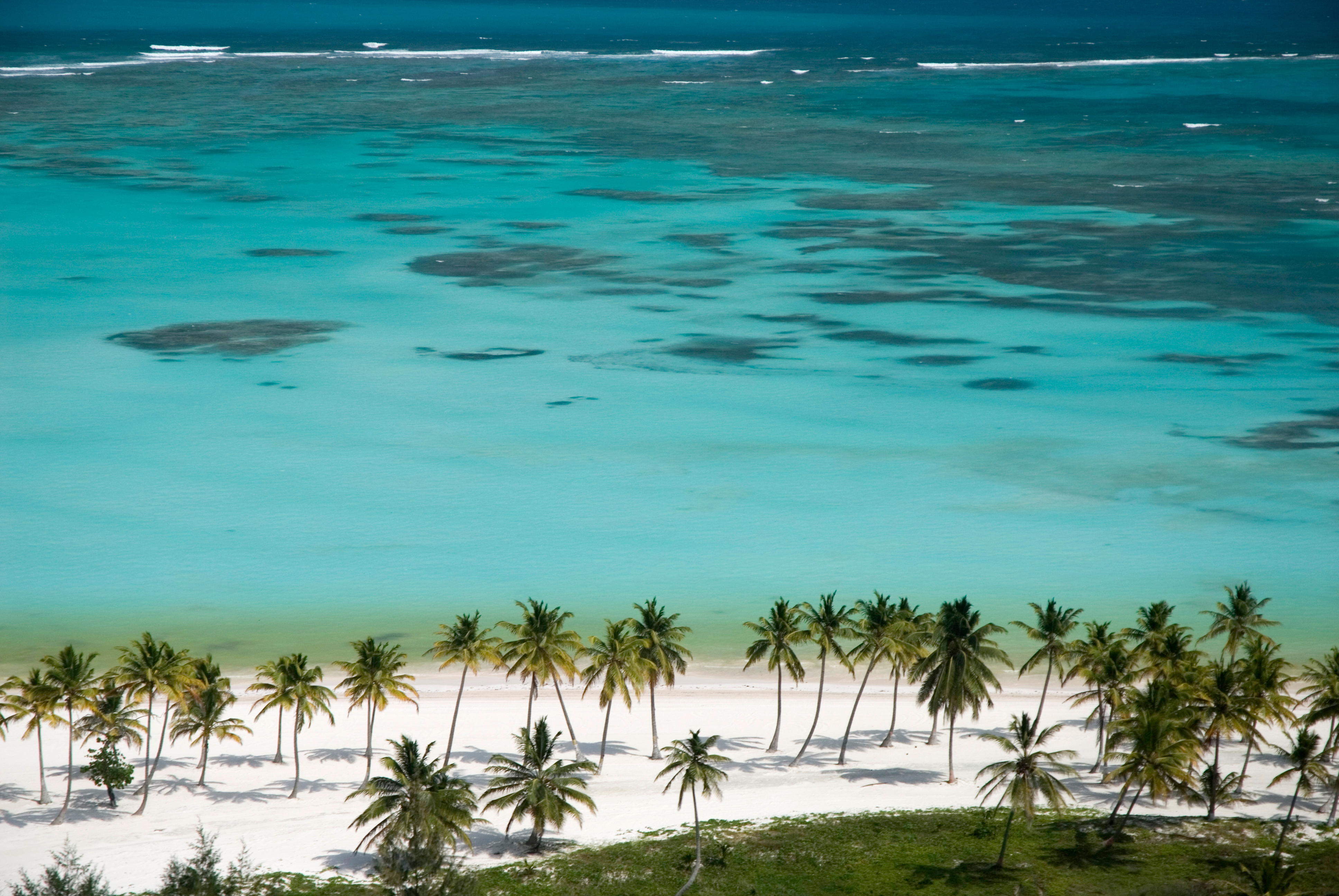 Aerial view of a palm tree lined beach up on tropical island