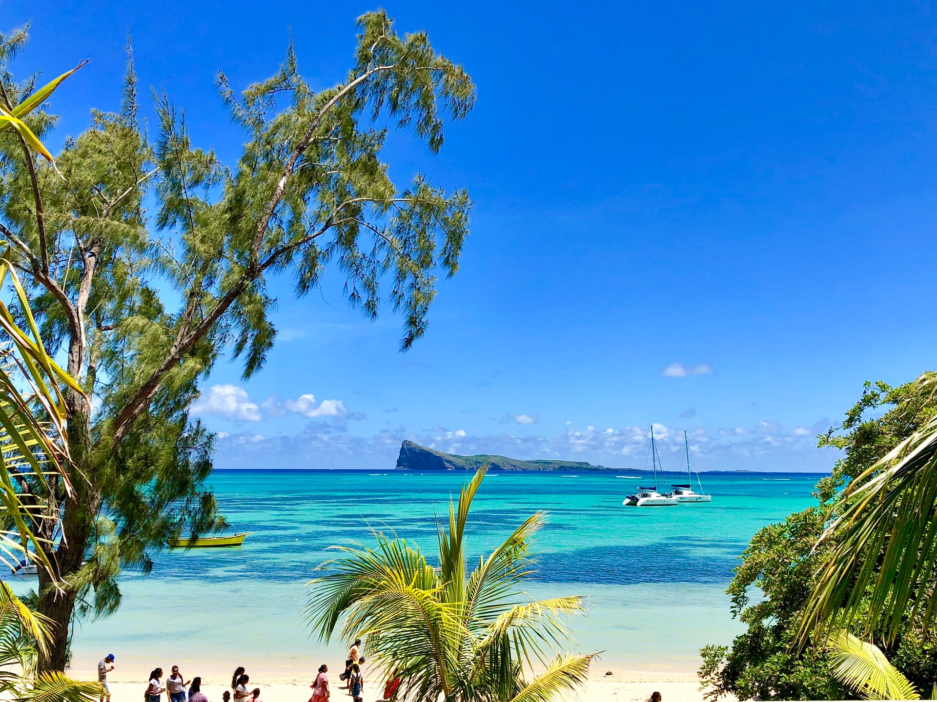 People standing on St Felix Beach with luscious foliage