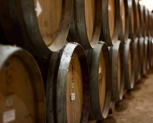 Barrels of rum lined up