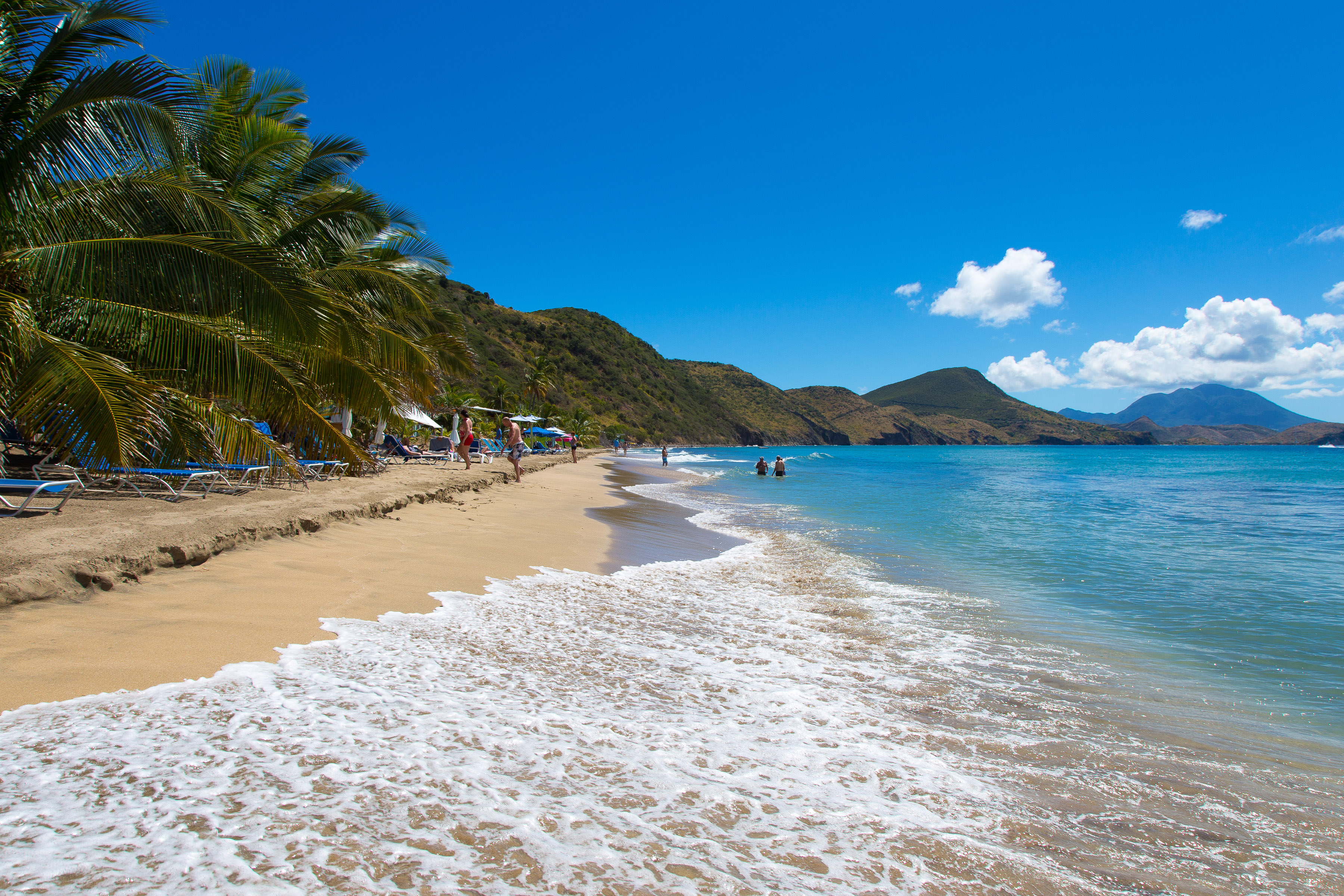 Small waves crashing on a golden sand tropical beach lines with palm trees 