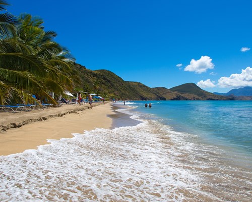 Small waves crashing on a golden sand tropical beach lines with palm trees