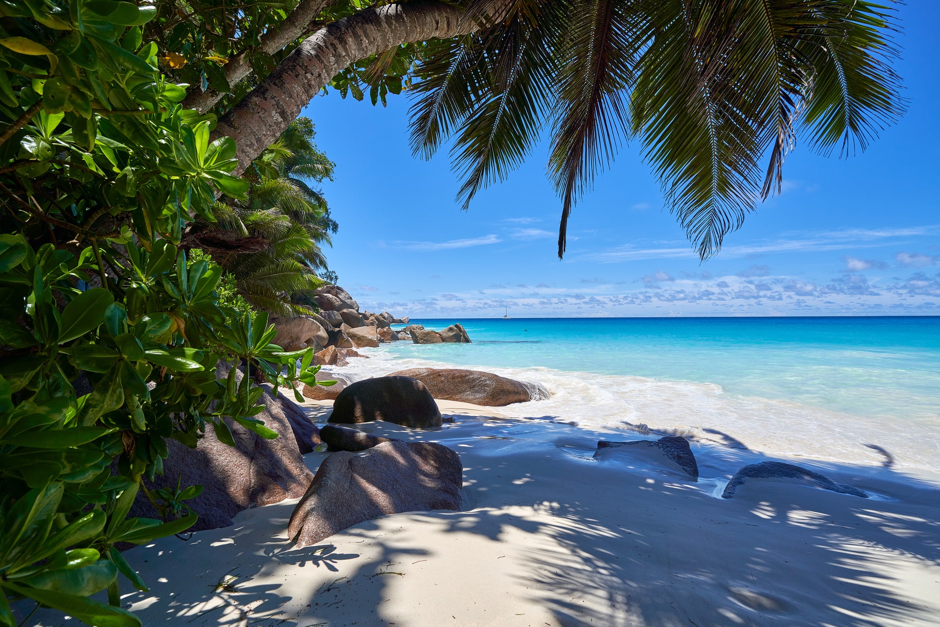 Large rocks on a tropical white sand beach 