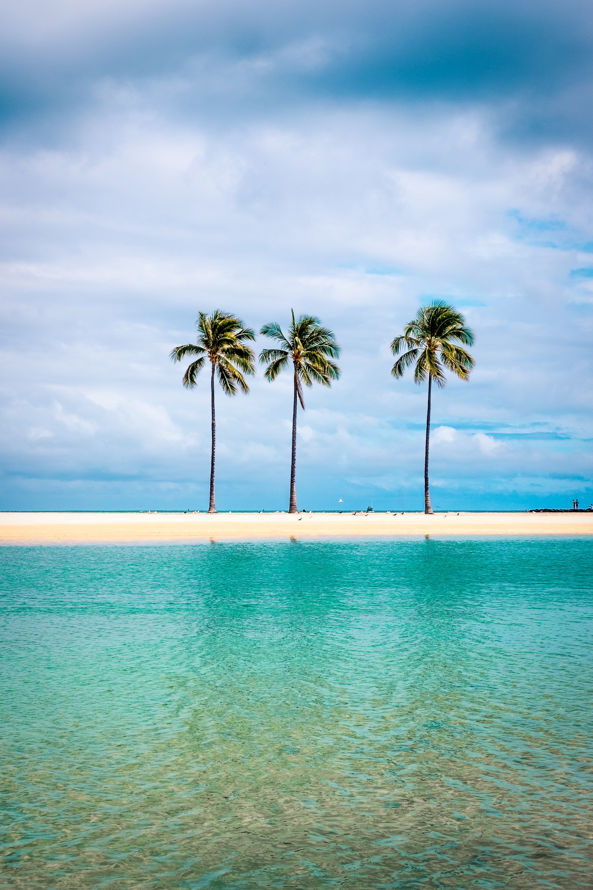 3 tall palm trees on a narrow white beach surrounded by turquoise sea