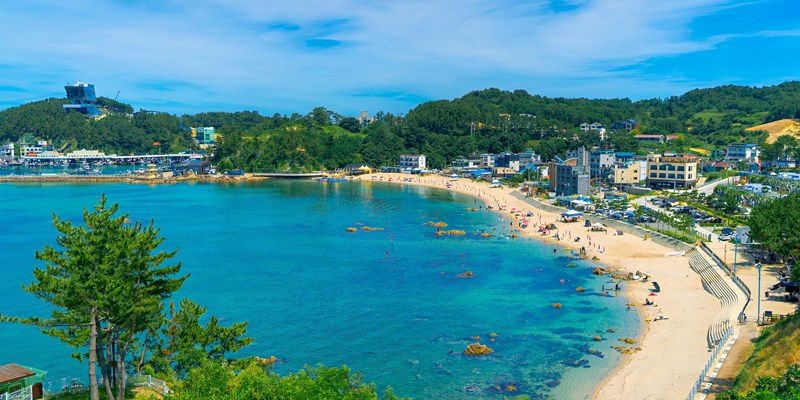 crescent bay of blue sea banded by white sand and surrounded by green vegetation